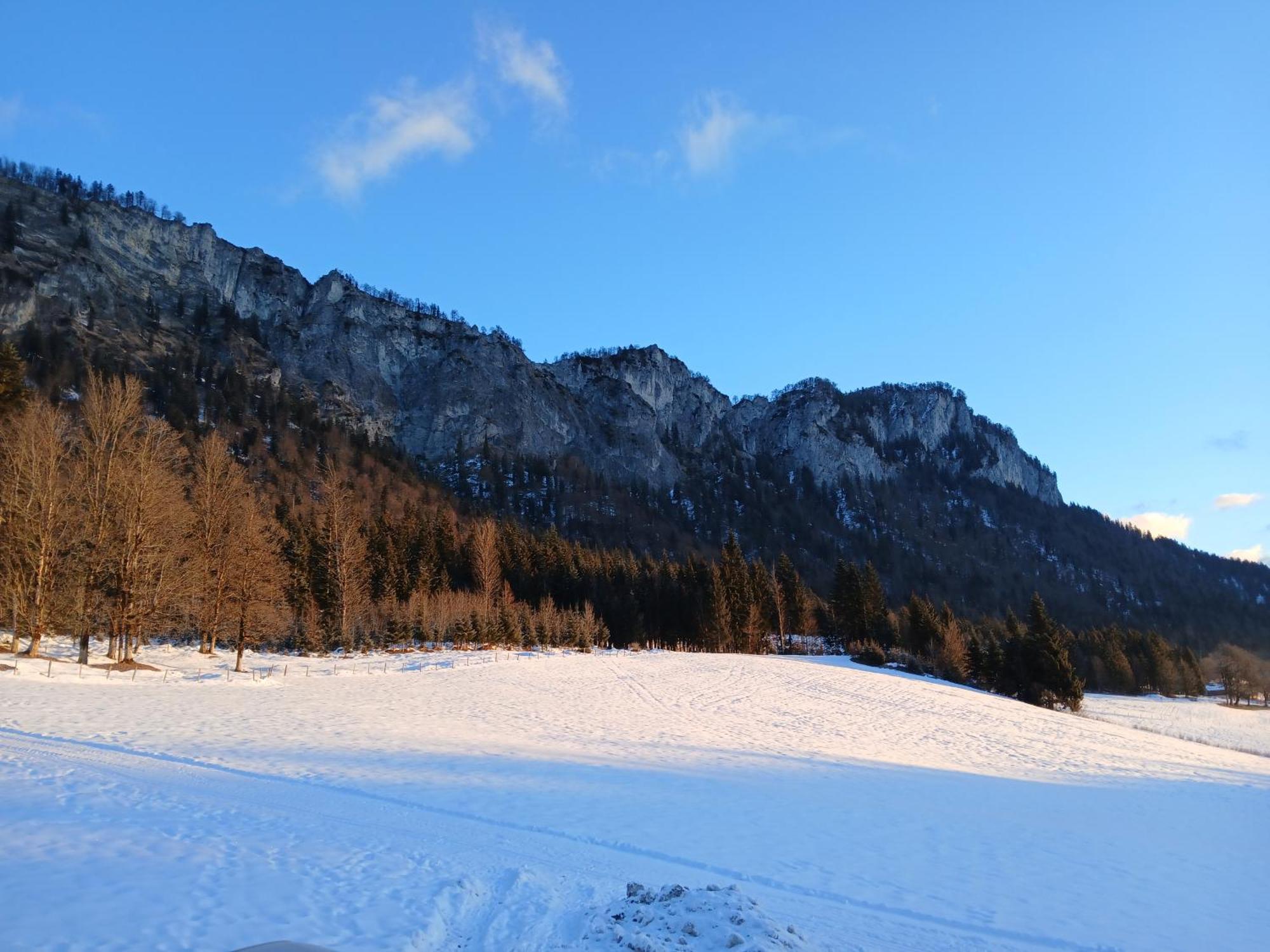 Ferienwohnung Maurerhof Sankt Johann in Tirol Exterior foto