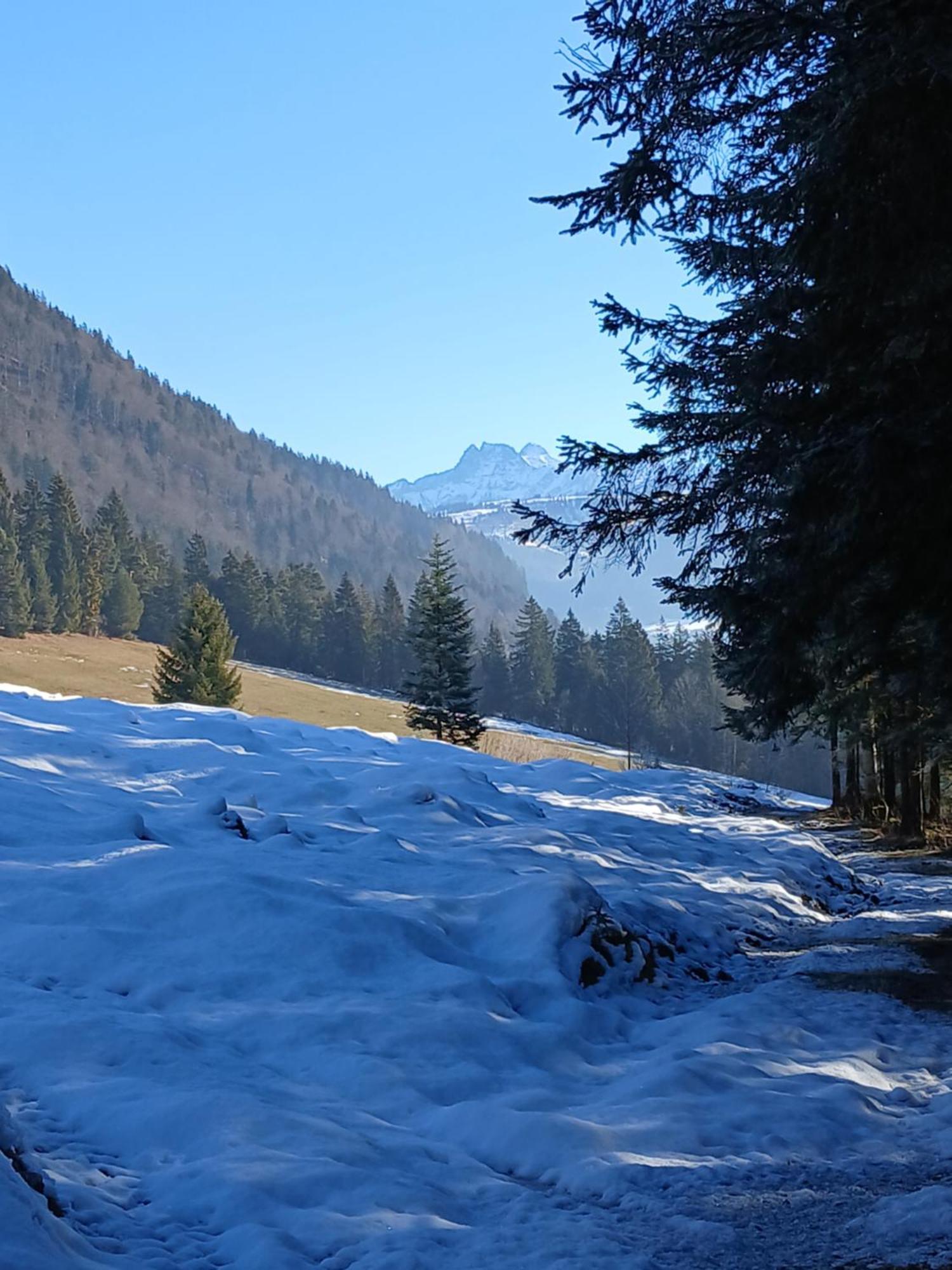 Ferienwohnung Maurerhof Sankt Johann in Tirol Exterior foto