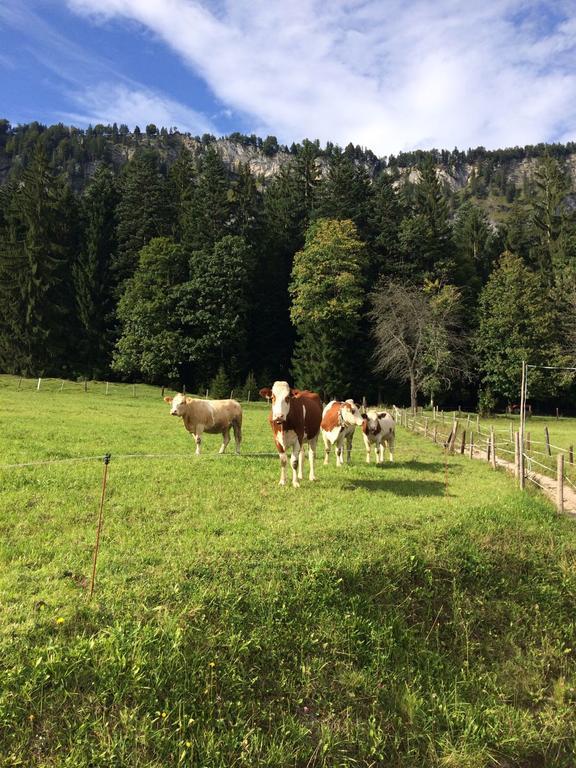 Ferienwohnung Maurerhof Sankt Johann in Tirol Exterior foto