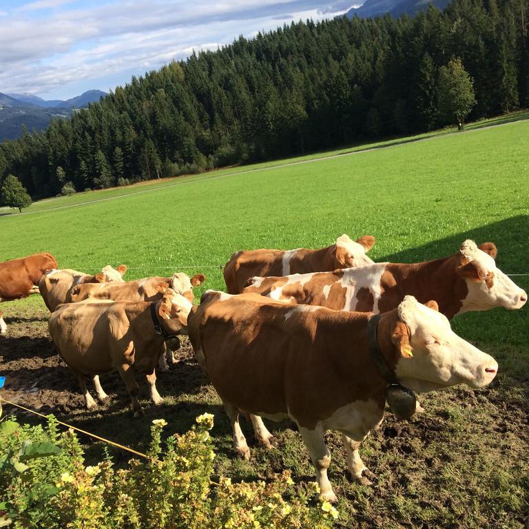 Ferienwohnung Maurerhof Sankt Johann in Tirol Exterior foto